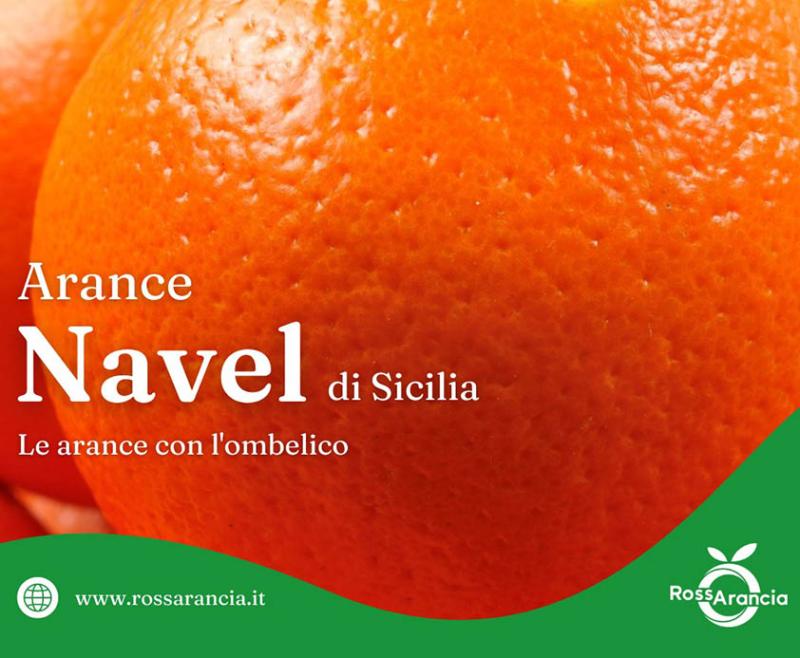 Arance Navel, da dove arriva il termine Navel ?