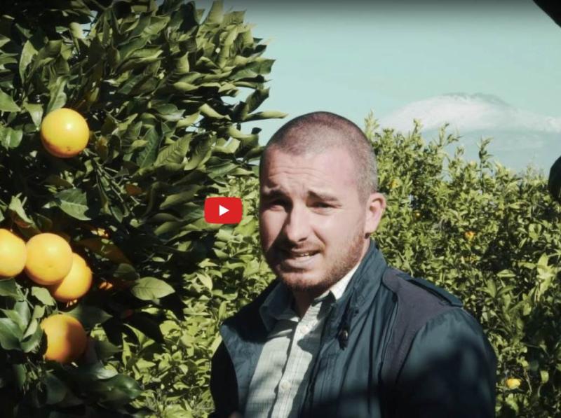 Il video dell'azienda Rossarancia